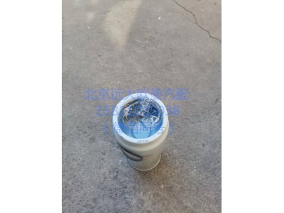 H411000000285,柴油濾清器濾芯總成,北京遠大汽車配件有限公司