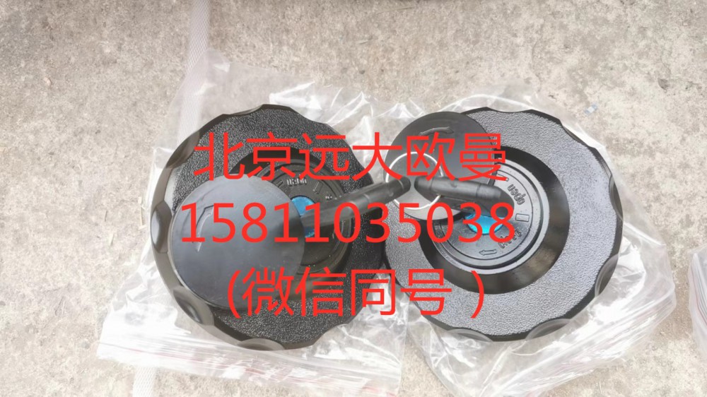H4110030300A0,雙油箱蓋,北京遠(yuǎn)大汽車(chē)配件有限公司