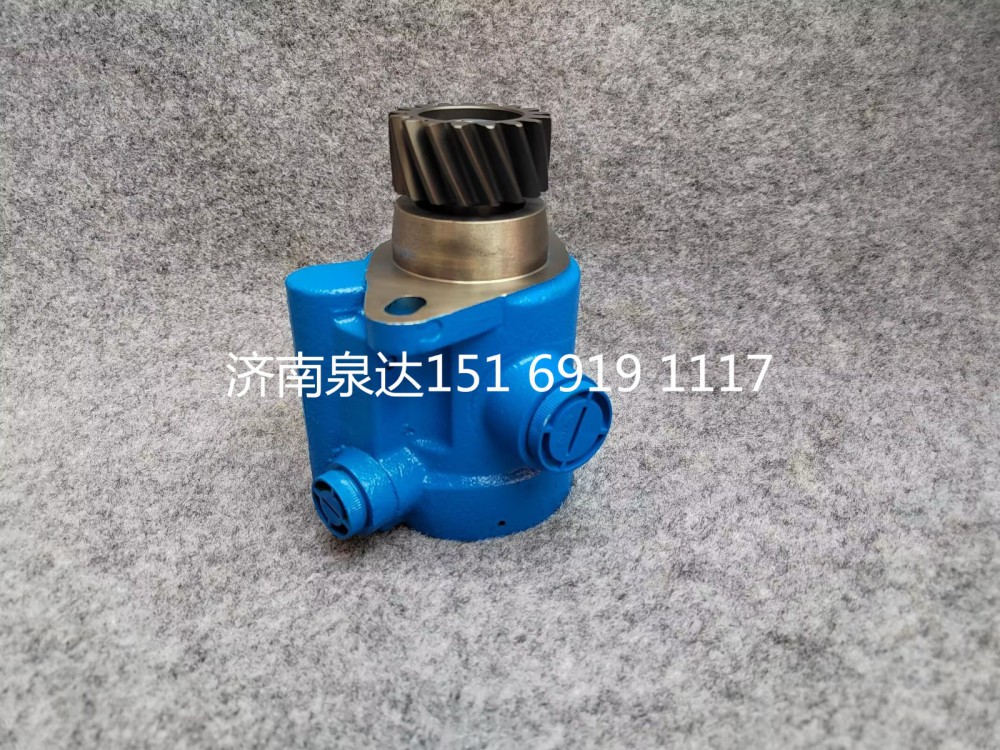 5064600180,轉向齒輪泵、助力泵,濟南泉達汽配有限公司