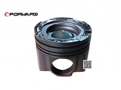 202V02511-0713  鋼活塞,Steel piston,濟(jì)南向前汽車配件有限公司