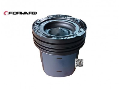 202V02511-0713  鋼活塞,Steel piston,濟(jì)南向前汽車配件有限公司