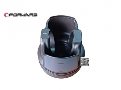 202V02511-0713  鋼活塞,Steel piston,濟(jì)南向前汽車配件有限公司