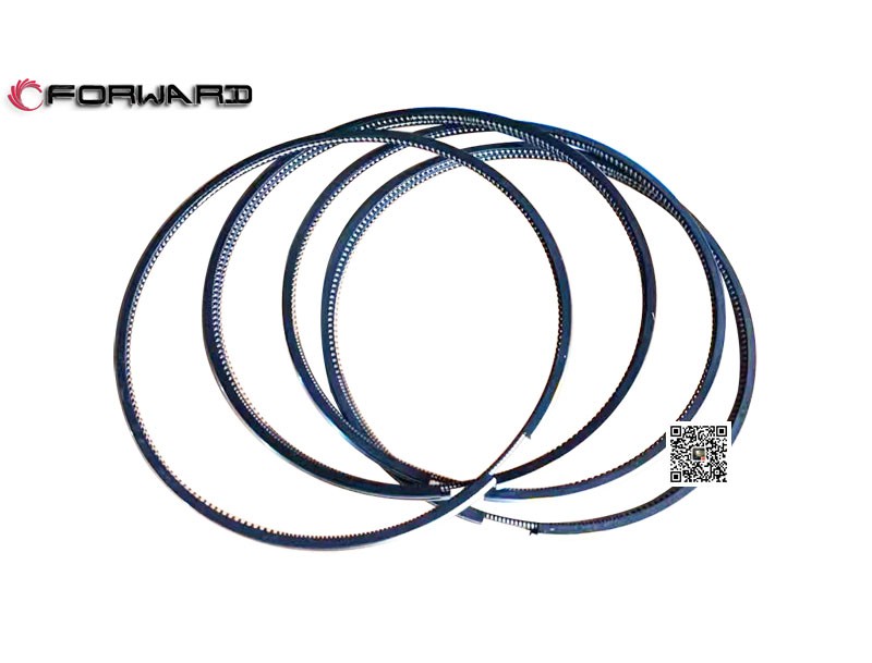 202V02503-0858  油環(huán),Oil ring,濟(jì)南向前汽車配件有限公司
