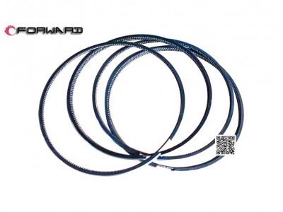 202V02503-0858  油環(huán),Oil ring,濟(jì)南向前汽車配件有限公司
