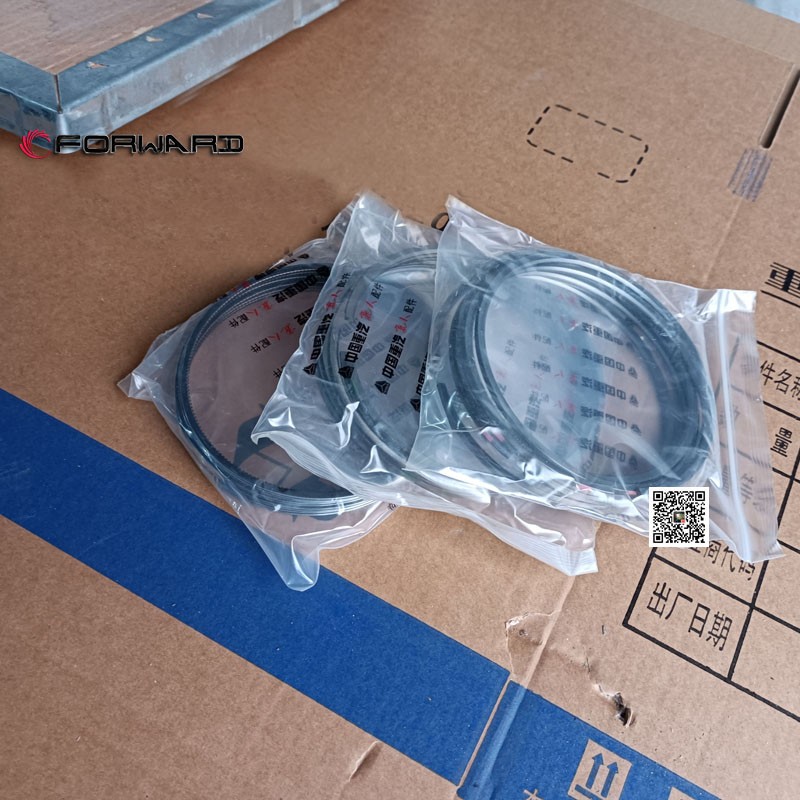 202V02503-0858  油環(huán),Oil ring,濟(jì)南向前汽車配件有限公司