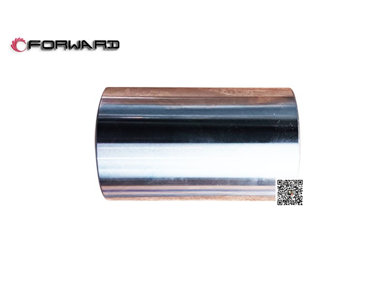 202V02502-0142  活塞銷,Piston pin,濟(jì)南向前汽車配件有限公司