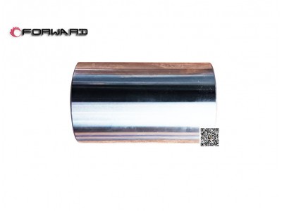 202V02502-0142  活塞銷,Piston pin,濟(jì)南向前汽車配件有限公司