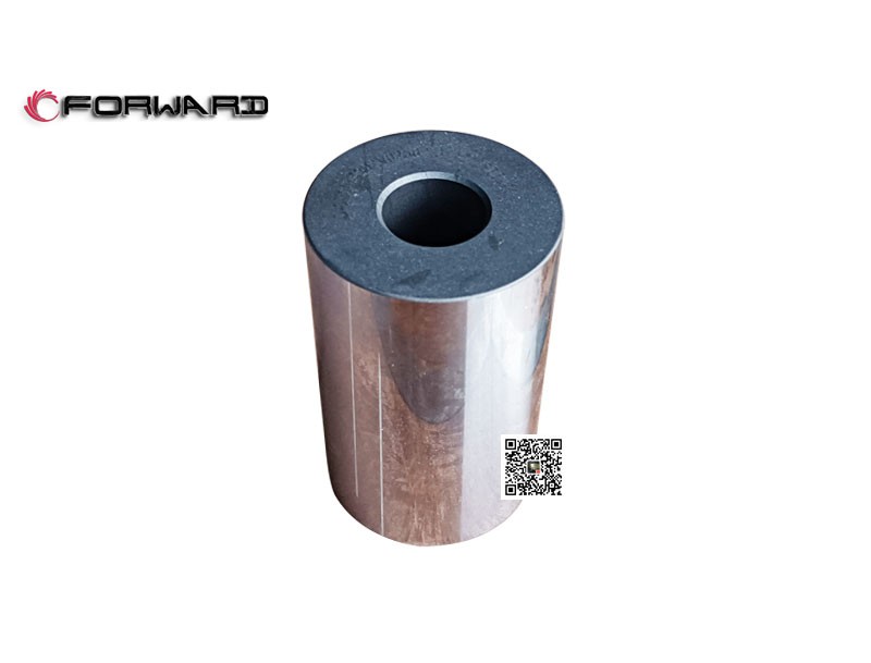 202V02502-0142  活塞銷,Piston pin,濟(jì)南向前汽車配件有限公司