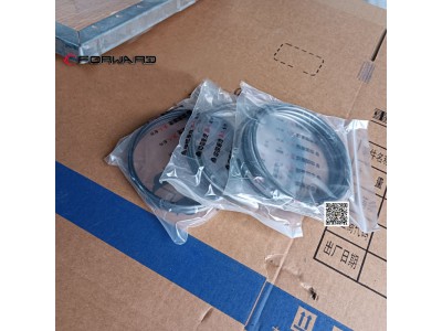 202V02503-6011  活塞環(huán)組件,Piston ring assembly,濟(jì)南向前汽車配件有限公司