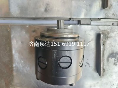 8607955108,轉(zhuǎn)向助力泵,濟(jì)南泉達(dá)汽配有限公司