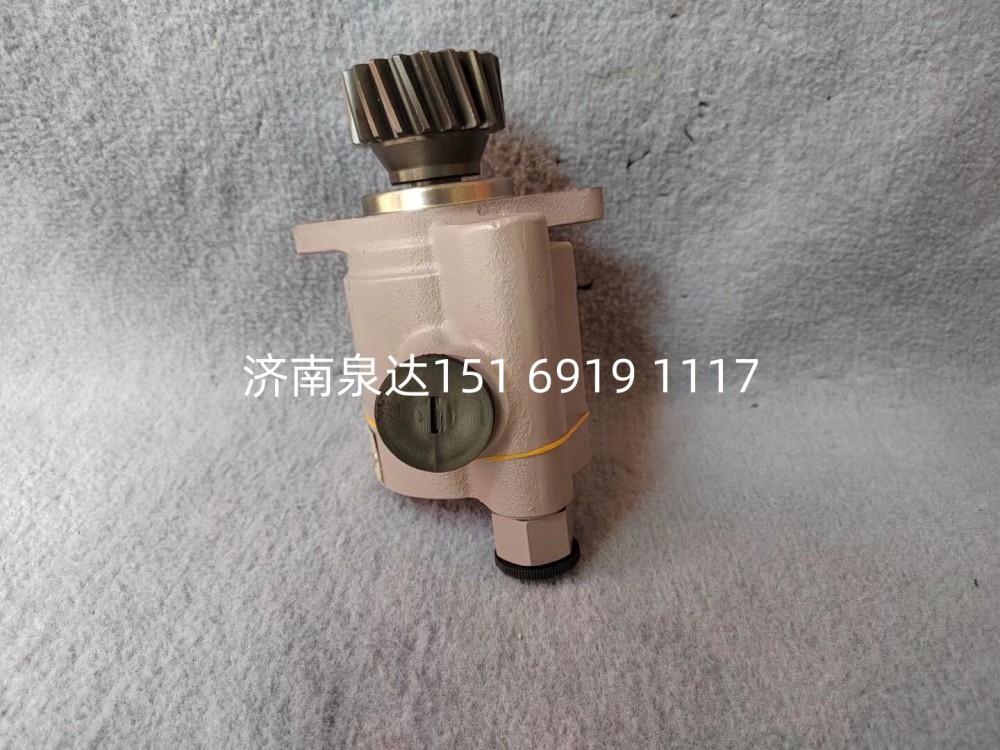 57100-2E200,轉(zhuǎn)向助力泵,濟南泉達(dá)汽配有限公司