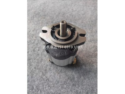 HLCB-D316,轉(zhuǎn)向助力泵,濟(jì)南泉達(dá)汽配有限公司