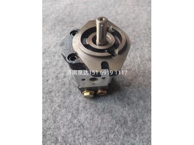 HLCB-D316,轉(zhuǎn)向助力泵,濟(jì)南泉達(dá)汽配有限公司