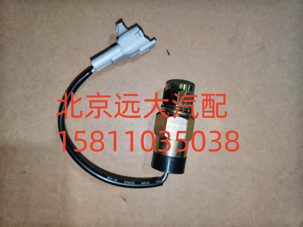 F1419336601001A1312,電動舉升開關(guān),北京遠大汽車配件有限公司