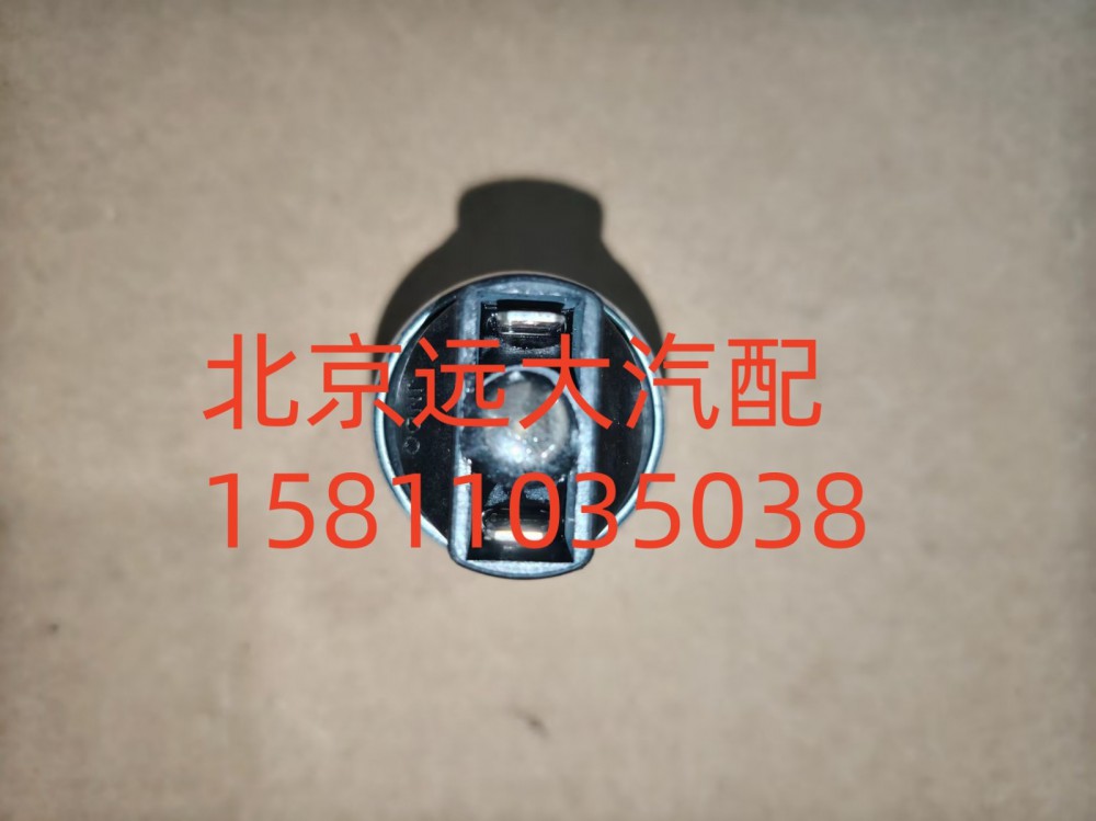 FH411900000316A1259,空濾器堵塞報(bào)警燈開關(guān),北京遠(yuǎn)大汽車配件有限公司