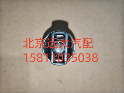 FH411900000316A1259,空濾器堵塞報(bào)警燈開關(guān),北京遠(yuǎn)大汽車配件有限公司
