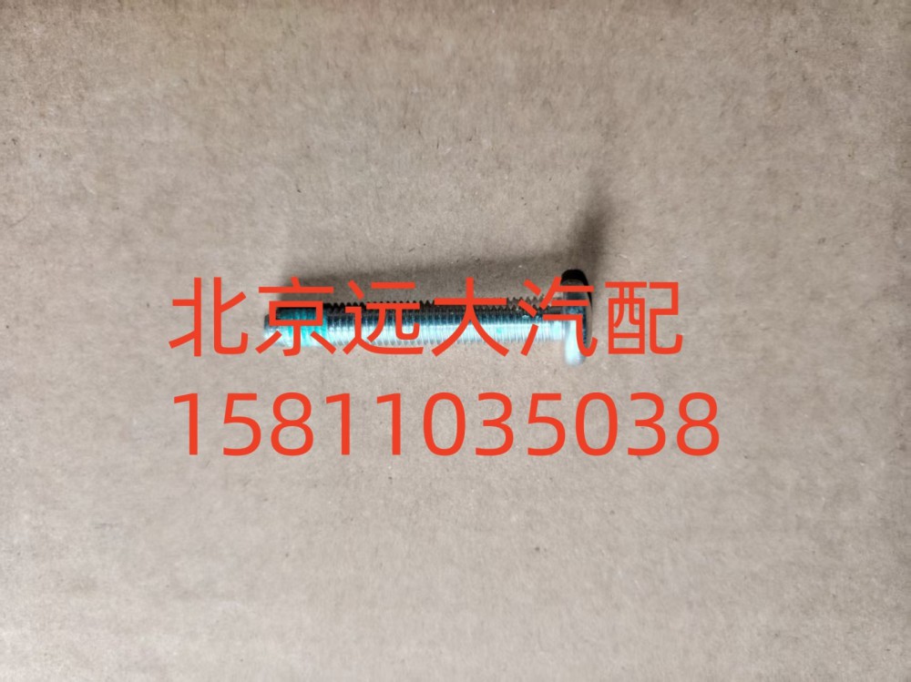 S0736.300.659W0077,梅花螺栓,北京遠大汽車配件有限公司