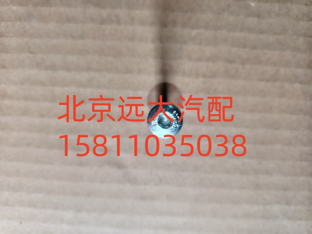 S0736.300.659W0077,梅花螺栓,北京遠大汽車配件有限公司