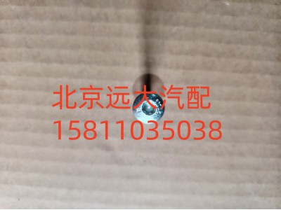 S0736.300.659W0077,梅花螺栓,北京遠大汽車配件有限公司