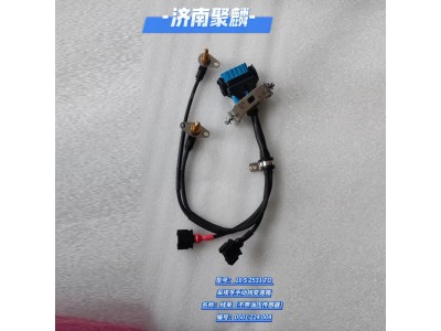 線束（不帶油壓傳感器） 0501 224 004