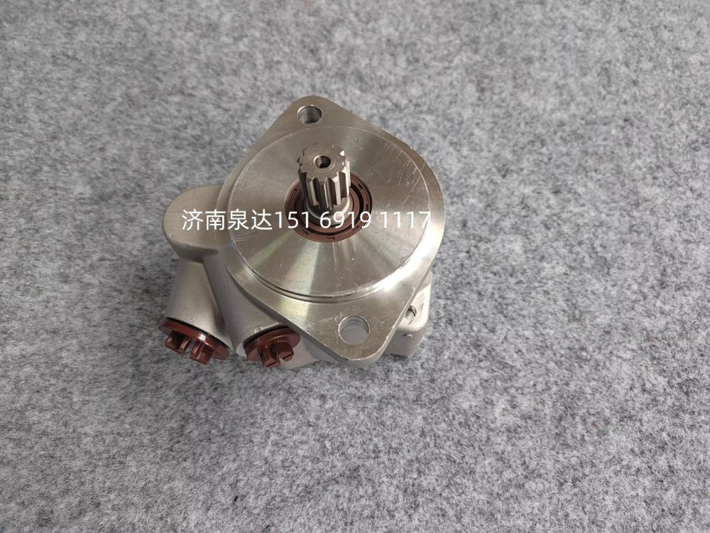 DZ9X189470015,轉(zhuǎn)向助力泵,濟(jì)南泉達(dá)汽配有限公司