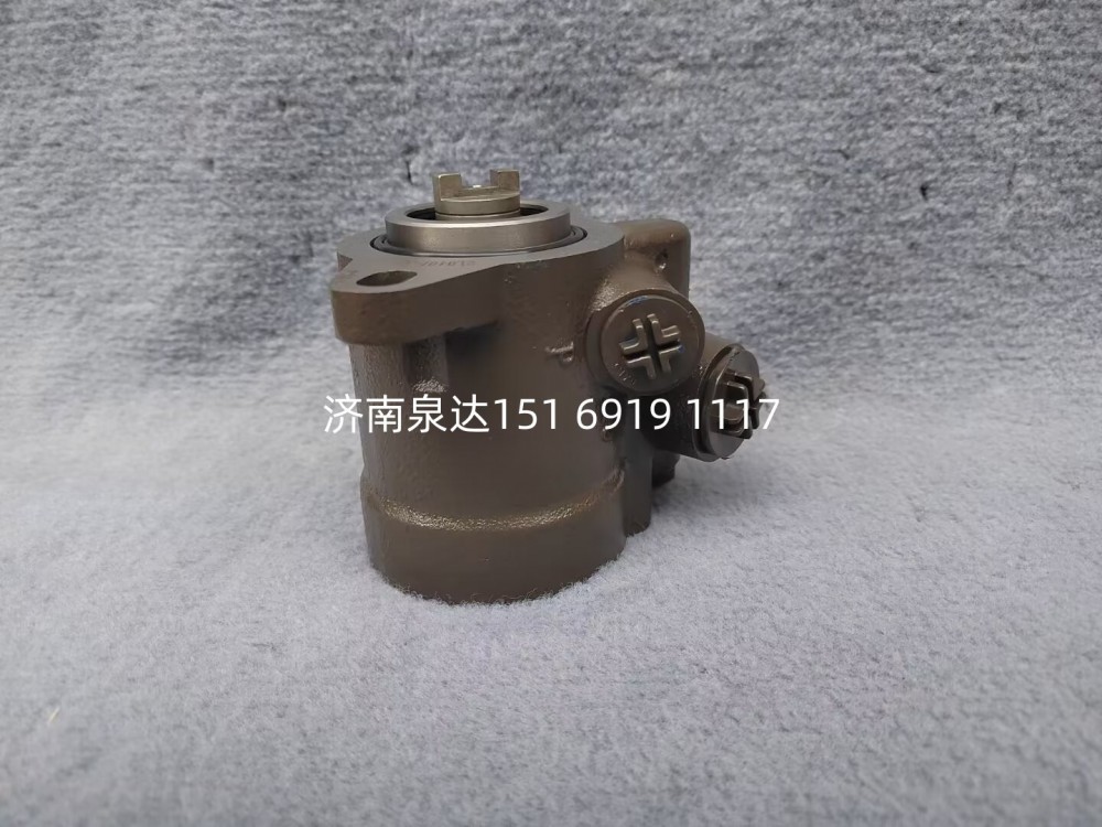 FG9806470954,轉(zhuǎn)向助力泵,濟南泉達汽配有限公司