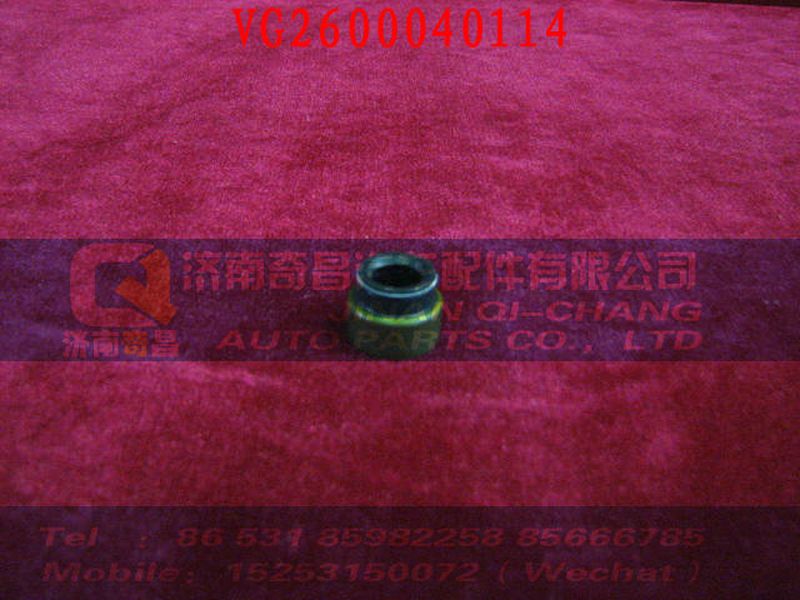 VG2600040114,內(nèi)照明燈(左),濟南奇昌汽車配件有限公司