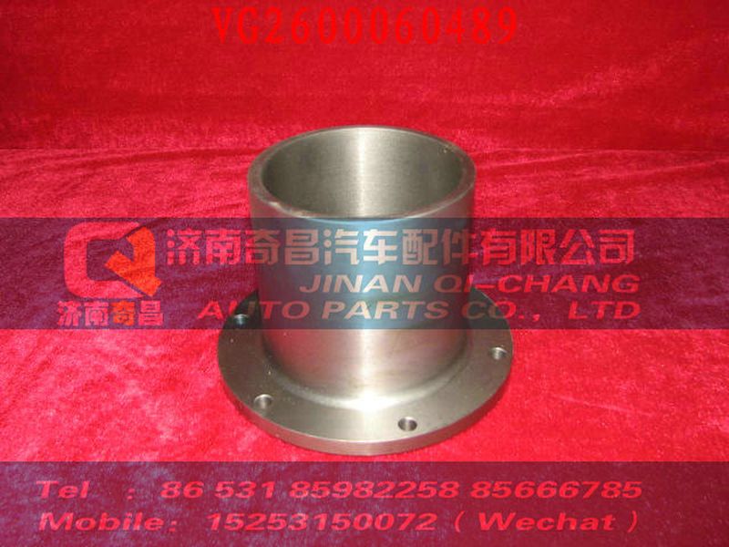 VG2600060489,駕駛室內(nèi)照明燈,濟(jì)南奇昌汽車(chē)配件有限公司