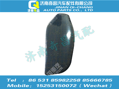az1651330064,豪瀚配件 豪瀚右無(wú)紡布裝飾件總成WG1651330064,濟(jì)南奇昌汽車配件有限公司