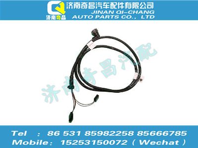 az9525773001,豪瀚配件 豪瀚尾燈電線束,濟南奇昌汽車配件有限公司