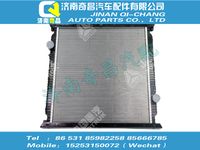 wg9925530126,金王子配件 金王子小散熱器總成(濟(jì)南貝洱),濟(jì)南奇昌汽車配件有限公司