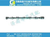 vg1246050001,HOWO配件 HOWO凸輪軸總成,濟(jì)南奇昌汽車配件有限公司