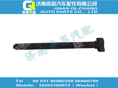 az9981340226,汕德卡配件 汕德卡制動凸輪軸(左),濟南奇昌汽車配件有限公司