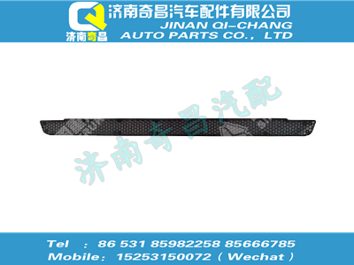 wg1664240011,王牌配件 王牌保險杠裝飾網II,濟南奇昌汽車配件有限公司