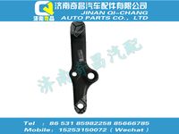 wg9731471116,王牌配件 王牌過(guò)渡擺臂,濟(jì)南奇昌汽車(chē)配件有限公司