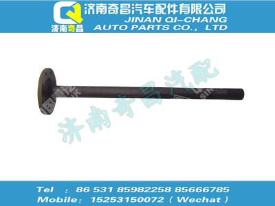 az9716341010,C7B配件 C7B半軸（右）,濟(jì)南奇昌汽車配件有限公司