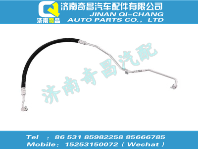wg1642820046,SITRAK配件冷-儲(chǔ)軟管總成(匯眾達(dá)、D12),濟(jì)南奇昌汽車配件有限公司