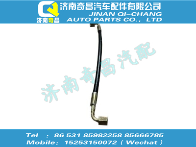 wg9719820273,王牌配件 王牌雙彎反向軟管(500),濟(jì)南奇昌汽車(chē)配件有限公司