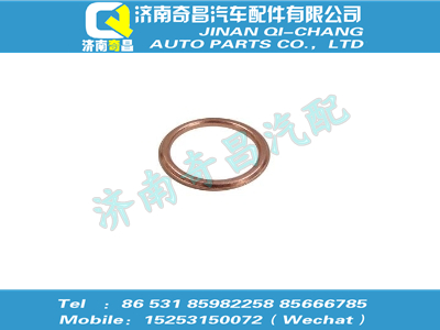 vg1238040008,金王子配件 金王子火花塞襯套墊圈,濟南奇昌汽車配件有限公司