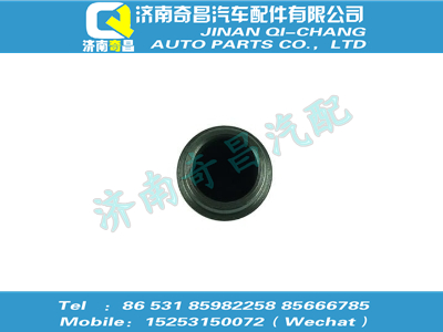 vg1246040014,王牌配件 王牌氣門(mén)導(dǎo)管,濟(jì)南奇昌汽車配件有限公司