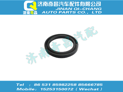 a1205v1556,豪沃配件 豪沃油封--凸輪軸支架,濟南奇昌汽車配件有限公司
