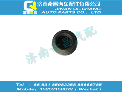 wg9725525115,T7H配件 T7H法蘭螺母（M20x1.5，10級，瀚瑞森）,濟南奇昌汽車配件有限公司