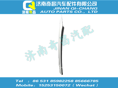 wg1664330045,HOWO配件 HOWO裝飾條總成－左車門,濟南奇昌汽車配件有限公司