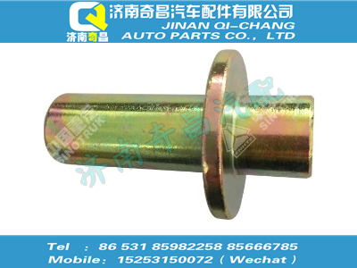 wg1664440032,SITRAK配件襯套I,濟(jì)南奇昌汽車(chē)配件有限公司