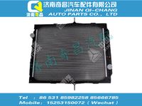 wg9925530602,C7B配件 C7B散熱器總成,濟南奇昌汽車配件有限公司