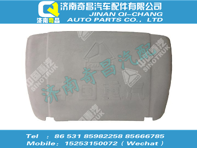 wg1608870105,HOWO配件 HOWO導(dǎo)流罩總成,濟(jì)南奇昌汽車(chē)配件有限公司