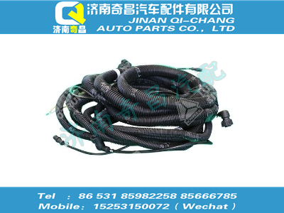 wg9718771167,王牌配件 王牌ABS底盤電線,濟(jì)南奇昌汽車配件有限公司
