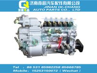 vg1093080180,HOWO配件 HOWO噴油泵總成,濟南奇昌汽車配件有限公司