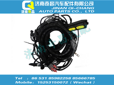 vg1095090050,王牌配件 王牌HOWO左置NG發(fā)動機線束,濟(jì)南奇昌汽車配件有限公司