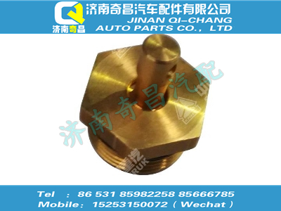 sz9000361407,王牌配件 王牌壓力測(cè)試接頭總成M22X1.5（取消拉環(huán)的狀態(tài)）,濟(jì)南奇昌汽車(chē)配件有限公司